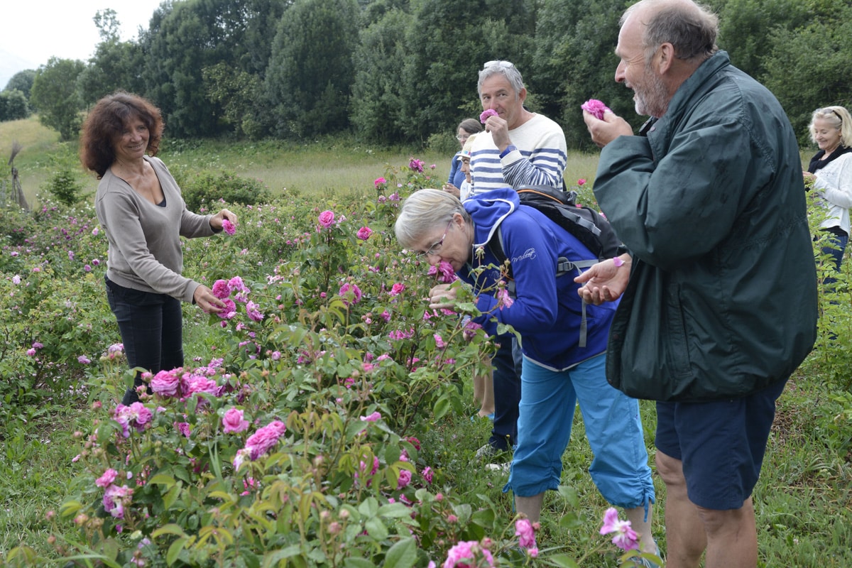 Jardins des Hautes Terres Ancelle Mairie Champsaur Valgaudemar Hautes Alpes Ancelle Station Jardins des Hautes Terres Ancelle Mairie Champsaur Valgaudemar Hautes Alpes Ancelle Station